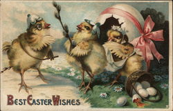 Best Easter Wishes - Chicks Hatching From Egg With Chicks Postcard Postcard