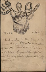 Elk Hand Drawn Postcard Postcard