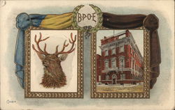 BPOE Elk and Building Elks Club Postcard Postcard