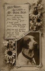 Birthday Greetings Dogs Postcard Postcard