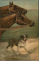 Two horses and an American bulldog Postcard Postcard