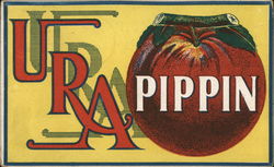 URA Pippin Postcard