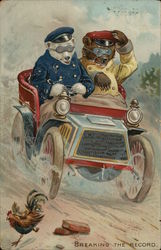 Two Bears Driving Fast Car Postcard Postcard