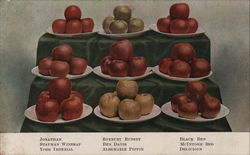 Display of Apples  F. H. LaBaume Virginia Fruit Postcard Postcard