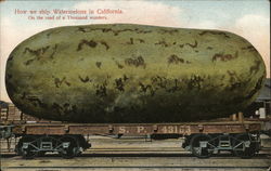 How we ship Watermelons in California Exaggeration Postcard Postcard