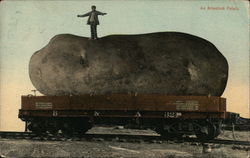 An Aroostook Potato Postcard