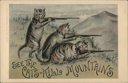 Three Cats with Guns on a Mountain (Catskills) Postcard Postcard