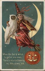 When the Owl & Witch together are seen, There's mischief brewing on HALLOWEEN Postcard