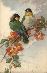 Two Birds Sitting on a Branch with Flowers C. Klein Postcard Postcard