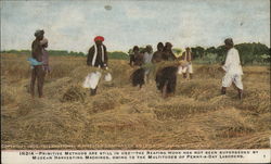 Farmers Harvesting Hay in India Farming Postcard Postcard