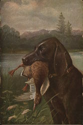 Dog with Duck in Mouth Hunting Postcard Postcard