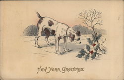 New Year Greetings Postcard Postcard