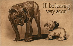 Dog and Puppy Postcard