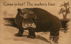 Hippo Postcard