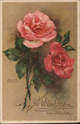 Roses Flowers Postcard Postcard