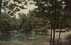 Rip Van Winkle Campground Saugerties, NY Postcard Postcard Postcard