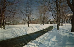 Colby Junior College Postcard