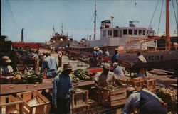 Famous Banana Market Tampa, FL Postcard Postcard Postcard