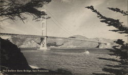 The Golden Gate Bridge, San Francisco Postcard