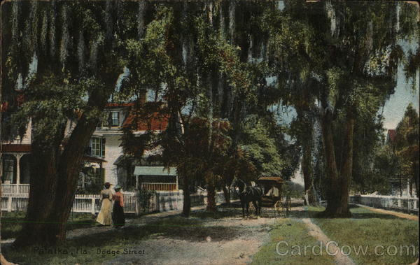 Dodge Street Palatka, FL Postcard