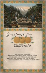 Greetings From California Postcard