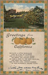 Greetings from California Postcard