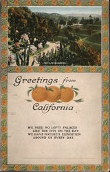 Greetings From California Postcard