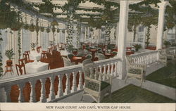 New Palm Court and Cafe, Water Gap House Postcard