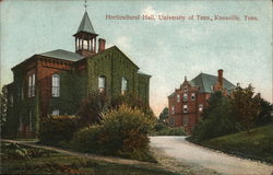 Horticultural Hall, University of Tennessee Knoxville, TN Postcard Postcard Postcard