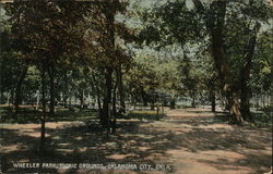 Wheeler Park, Picnic Grounds Postcard