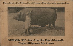 Nebraska Live Stock Remedy Company Fremont, NE Postcard Postcard Postcard