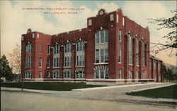 Gymnasium, Wellesley College Postcard