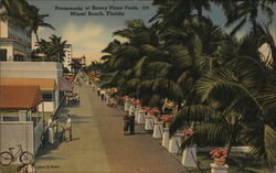 Promenade at Roney Plaza Pools Postcard