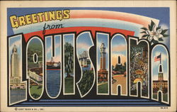 Greetings From Louisiana Postcard