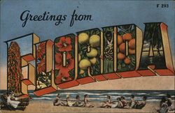 Greetings From Florida Postcard