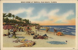 Beach Scene at Tropical Palm Beach Florida Postcard Postcard Postcard