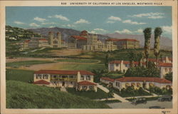 University of California at Los Angeles, Westwood Hills Postcard Postcard Postcard