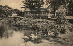 Swan Pond and Dining Porches White Turkey Inn, Danbury Conn. Connecticut Postcard Postcard Postcard