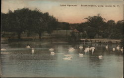 Lake Agawam, Long Island Southampton, NY Postcard Postcard Postcard