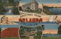 Greetings from Orlando, Florida Postcard Postcard Postcard