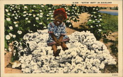 "Sittin' Soft" in Dixieland Postcard