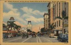 Wilshire Boulevard, Showing Beverly Wilshire Hotel and the Brown Derby Postcard