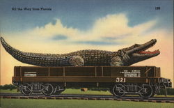 All the Way from Florida - Alligator on Railroad Car Exaggeration Postcard Postcard Postcard