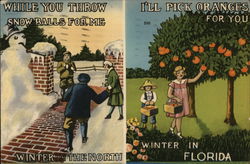 Winter.. The North vs Winter in Florida Postcard Postcard Postcard