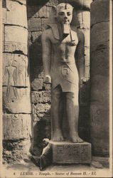 Statue of Ramses II Postcard