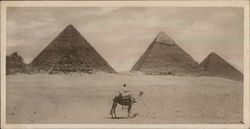 The Pyramids Cairo, Egypt Africa Postcard Postcard