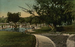 Barbados - View in Queen's Park Bridgetown, Barbados Caribbean Islands Postcard Postcard