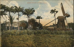 Sugar Estate (Haynes' Hill) Barbados Caribbean Islands Postcard Postcard