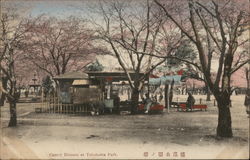 Cherry Blossom at Yokohama Park Postcard