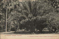 Government Garden Postcard